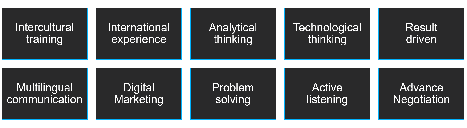 Adrian Rodrigo Skills